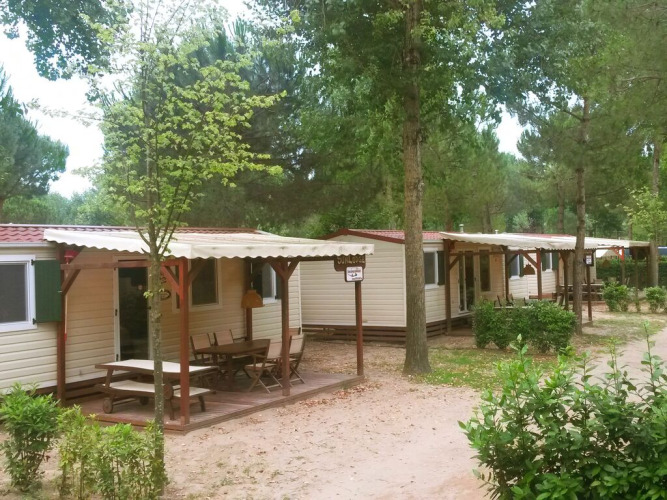 Row of SunLodge Aspen Combi cabins surrounded by trees at Camping Union Lido Mare in Italy.