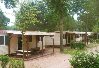 Fila de cabañas SunLodge Aspen Combi entre árboles en Camping Union Lido Mare, Italia.