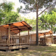 Photo of SunLodge Jungle lodges at Camping Union Lido Mare in Italy, situated among tall green trees.
