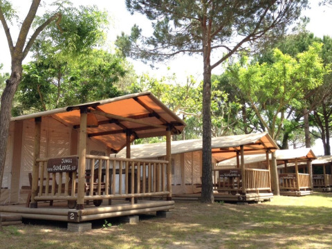 Photo des lodges SunLodge Jungle au Camping Union Lido Mare en Italie, entourés d’arbres verts.