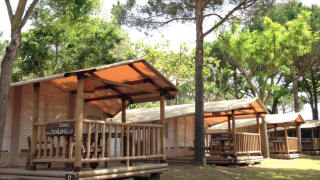 Foto van SunLodge Jungle lodges bij Camping Union Lido Mare in Italië, omgeven door groene bomen.