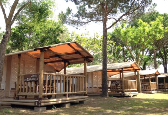 Foto de cabañas SunLodge Jungle en Camping Union Lido Mare en Italia, rodeadas de árboles altos.
