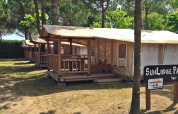 Række af SunLodge Jungle telte på Camping Union Lido Mare i Italien, omgivet af træer og skygge.