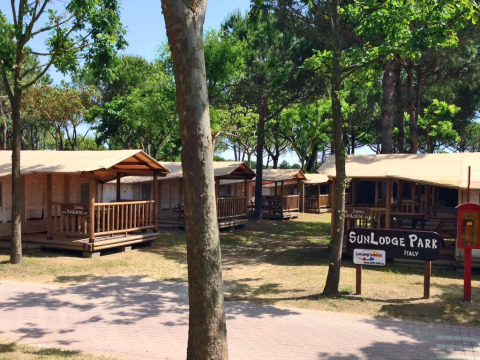 Solbeskinnet SunLodge Jungle ved Camping Union Lido Mare i Italien, omgivet af grønne træer og hytter.