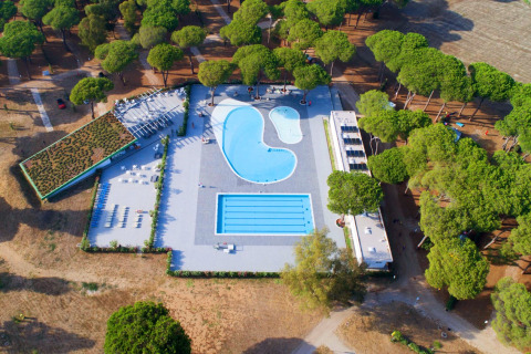 Luftfoto af et lodgeområde med udendørs swimmingpools omgivet af grønne træer og liggestole.