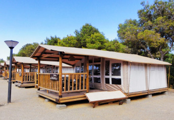Row of safari tents with wooden decks in a forest setting under blue sky, named SunLodge Jungle.