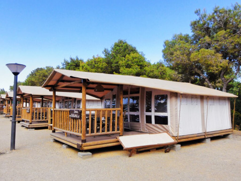 Række af safari-telte med træveranda i skoven under blå himmel, kendt som SunLodge Jungle.