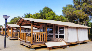 Row of safari tents with wooden decks in a forest setting under blue sky, named SunLodge Jungle.