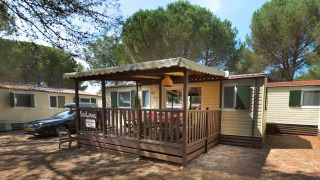 SunLodge Aspen con veranda coperta in legno e area salotto all'aperto, circondata da pini.