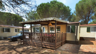 SunLodge Aspen con terraza de madera cubierta y asientos exteriores, rodeada de altos pinos verdes.