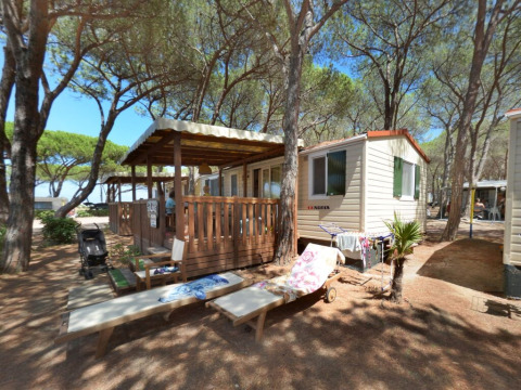 SunLodge Aspen cabin at Camping Village Baia Blu La Tortuga, Italy, surrounded by pine trees and benches.