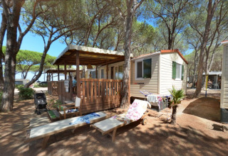 Cabaña SunLodge Aspen en Camping Village Baia Blu La Tortuga, Italia, rodeada de pinos y bancos de madera.