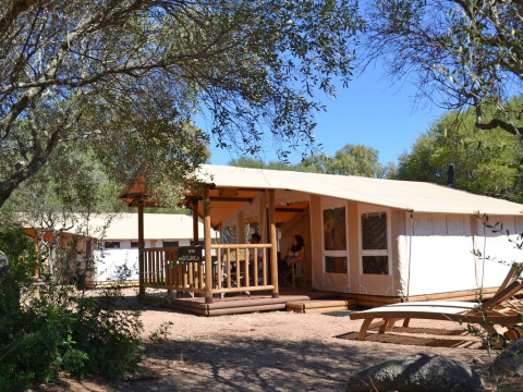 Udendørs billede af SunLodge Safari-lodgen med gæster på verandaen omgivet af grønne træer og natur.