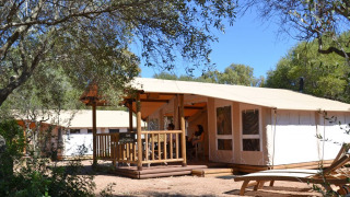 Outdoor view of SunLodge Safari lodge with guests relaxing on the porch, surrounded by trees and nature.