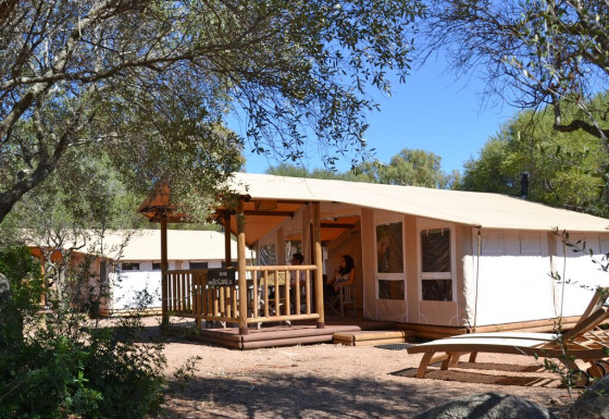 Vue extérieure du lodge SunLodge Safari avec des invités sur la terrasse entourés d’arbres et de nature.