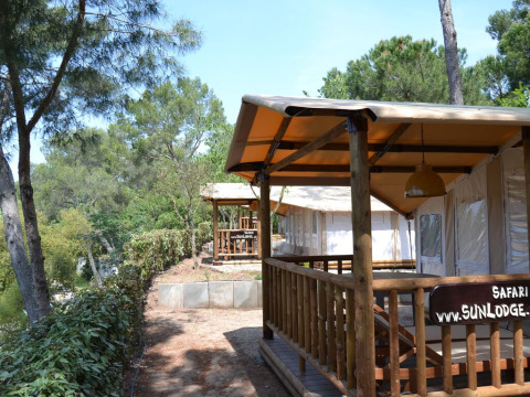 Sunny safari tents at SunLodge Safari in a wooded area, featuring wooden decks and peaceful ambiance.