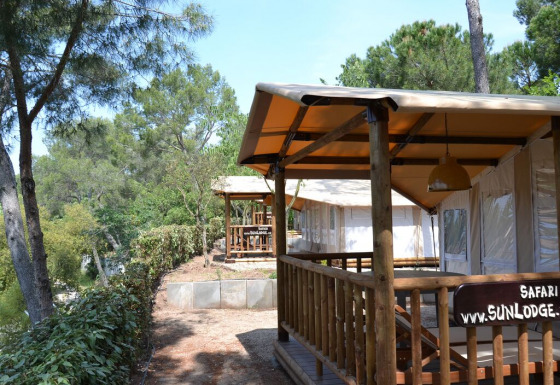 Tentes safari SunLodge Safari dans un cadre boisé, avec terrasse en bois et ambiance paisible.