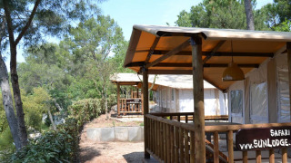 Sunny safari tents at SunLodge Safari in a wooded area, featuring wooden decks and peaceful ambiance.