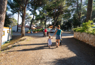 Familia paseando por una zona de cabañas entre árboles, disfrutando de un día soleado de verano.