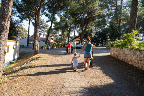 Familia paseando por una zona de cabañas entre árboles, disfrutando de un día soleado de verano.