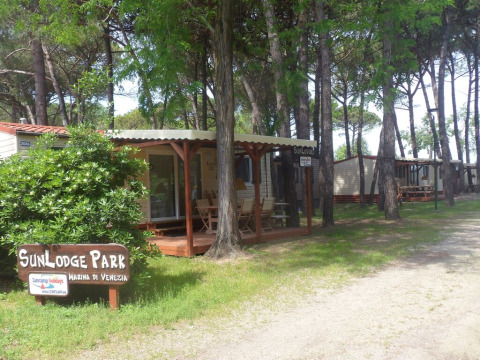 Sunny view of SunLodge Redwood cabins at Camping Village Marina di Venezia, Italy, surrounded by pine trees.