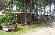 Sunny view of SunLodge Redwood cabins at Camping Village Marina di Venezia, Italy, surrounded by pine trees.