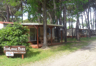 Solrigt billede af SunLodge Park-redwood hytter i en skov ved Camping Marina di Venezia, Italien.