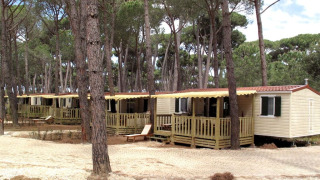 Case mobili al SunLodge Aspen tra pini alti, verande in legno e sentieri in un’atmosfera rilassante.