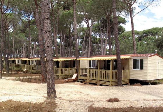 Mobilhytter i en skov ved SunLodge Aspen, omgivet af høje træer og grusbelagte stier, afslappende atmosfære.