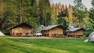 Tentes safari sur un terrain de camping entouré de verdure et d'arbres, voiture garée à proximité.