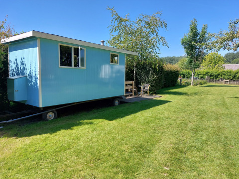 Casa rodante Pipowagen Snuitje azul en césped verde rodeada de árboles bajo un cielo despejado.