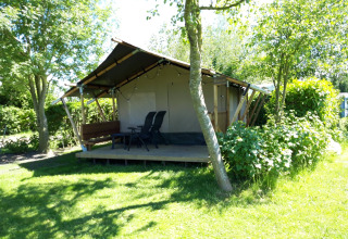 Safaritent Kievit lodge in een zonnige tuin met stoelen buiten en omringd door veel groen en bomen.