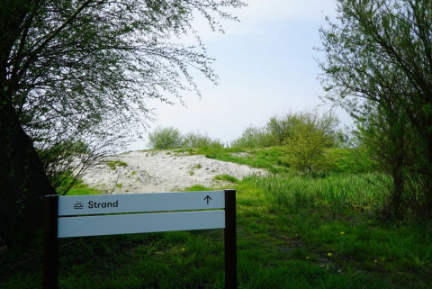Sendero entre árboles verdes hacia la playa de arena en un parque de vacaciones con glamping, cartel de playa.