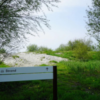 Chemin à travers des arbres verts menant à une plage de sable dans un parc avec glamping, panneau visible.