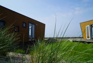 Houten vakantielodges op een vakantiepark met grasveld en zeezicht, ideaal voor een glampingvakantie.
