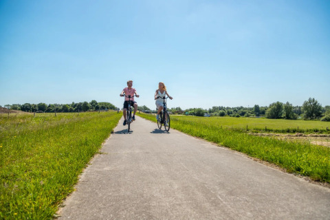 Deux personnes font du vélo sur un chemin ensoleillé, entourées de verdure dans un parc de glamping.