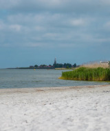Foto de una playa tranquila con juncos, árboles y un parque de glamping con faro al fondo.
