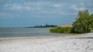 Photo d’une plage paisible avec roseaux, arbres et parc de glamping avec phare à l’arrière-plan.