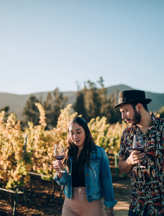 Pareja disfrutando vino en un viñedo al aire libre, rodeados de naturaleza y montañas soleadas.