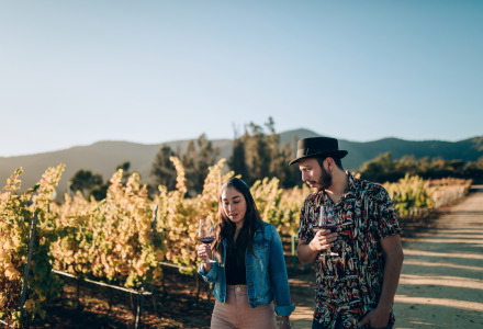 Pareja disfrutando vino en un viñedo al aire libre, rodeados de naturaleza y montañas soleadas.
