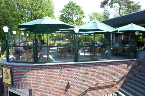 Terraza exterior con sombrillas verdes en Camping Roland, destacado parque vacacional en Limburg, Países Bajos.
