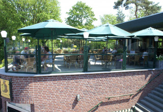 Terrazza con ombrelloni verdi a Camping Roland, punto forte del villaggio turistico in Limburgo, Paesi Bassi.