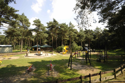 Zona de juegos y entorno boscoso en Camping Roland, parque vacacional en Limburg, Países Bajos, con columpios.