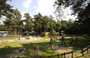 Legeplads og skovområde på Camping Roland feriepark i Limburg, Holland, med legeredskaber og grøn natur.