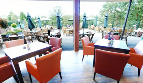 Zona de terraza en Camping Roland, Limburg, Países Bajos, con sillas de colores y sombrillas entre árboles.