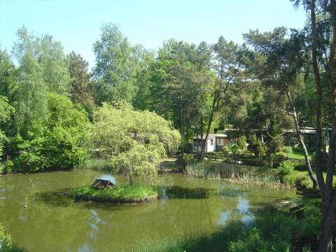 View of a green pond with trees and holiday cottages at Camping Roland in Limburg, Netherlands, on a sunny day.