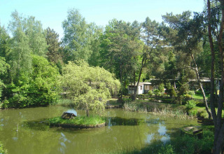 View of a green pond with trees and holiday cottages at Camping Roland in Limburg, Netherlands, on a sunny day.