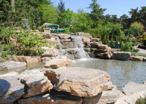 Cascata di rocce al Camping Roland, parco vacanze in Limburgo, Paesi Bassi, con abbondante vegetazione intorno.