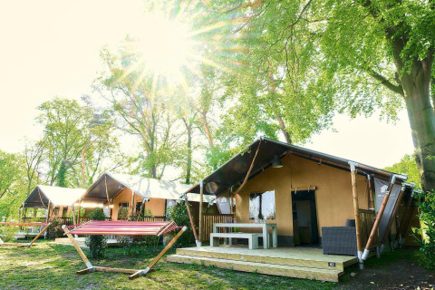 Tiendas safari en Wilsumer Berge, Alemania, con luz solar entre los árboles y rodeadas de naturaleza verde.