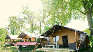 Tiendas safari en Wilsumer Berge, Alemania, con luz solar entre los árboles y rodeadas de naturaleza verde.